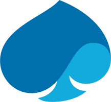 Capgemini Software Engineer - Exceller